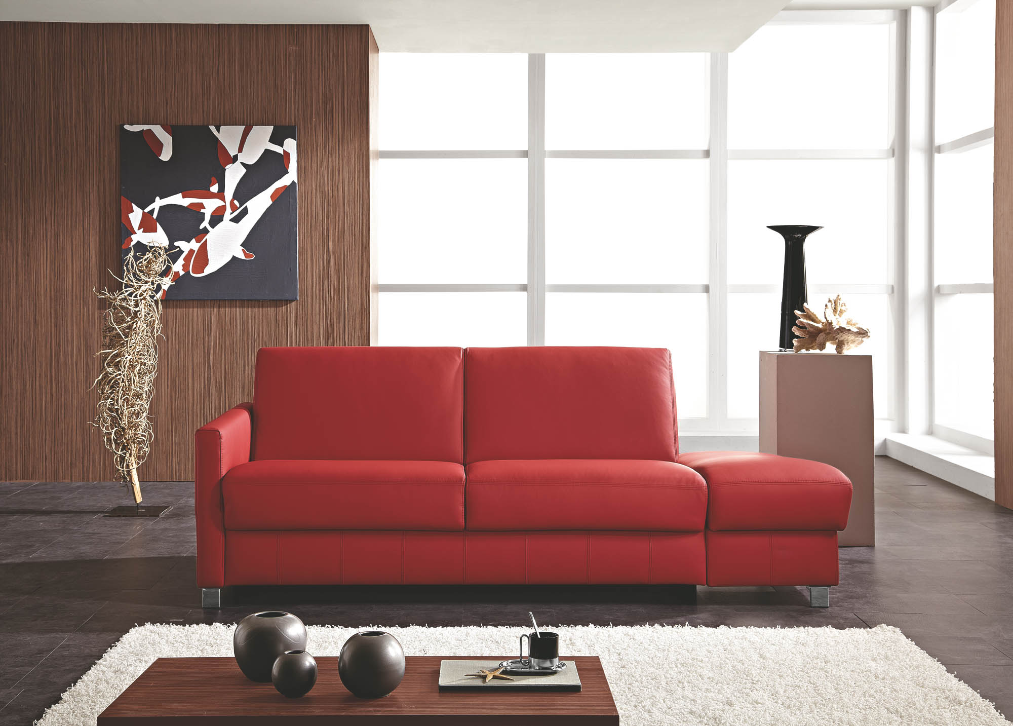Schlafsofa Carina